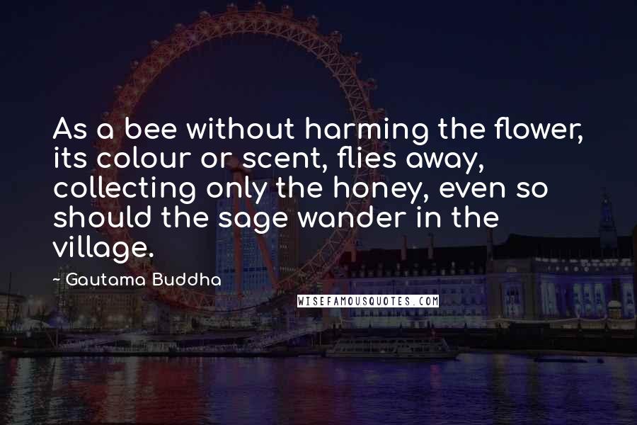 Gautama Buddha Quotes: As a bee without harming the flower, its colour or scent, flies away, collecting only the honey, even so should the sage wander in the village.