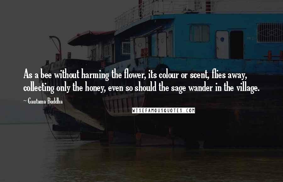 Gautama Buddha Quotes: As a bee without harming the flower, its colour or scent, flies away, collecting only the honey, even so should the sage wander in the village.