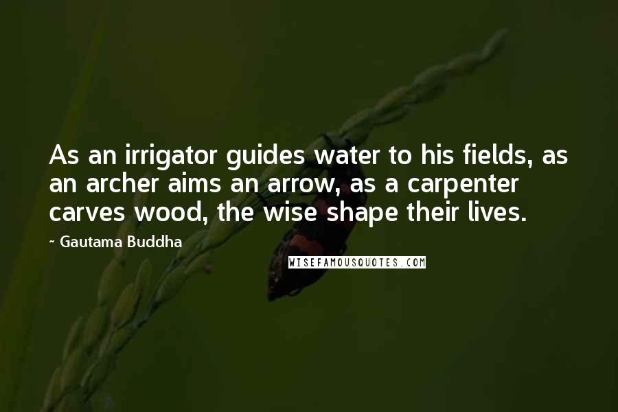 Gautama Buddha Quotes: As an irrigator guides water to his fields, as an archer aims an arrow, as a carpenter carves wood, the wise shape their lives.