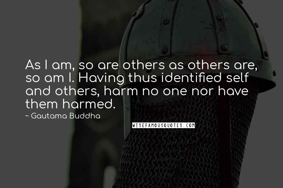 Gautama Buddha Quotes: As I am, so are others as others are, so am I. Having thus identified self and others, harm no one nor have them harmed.