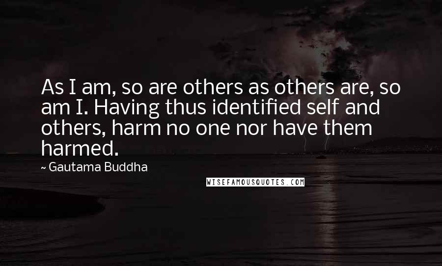 Gautama Buddha Quotes: As I am, so are others as others are, so am I. Having thus identified self and others, harm no one nor have them harmed.