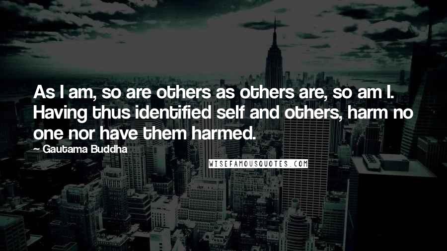 Gautama Buddha Quotes: As I am, so are others as others are, so am I. Having thus identified self and others, harm no one nor have them harmed.