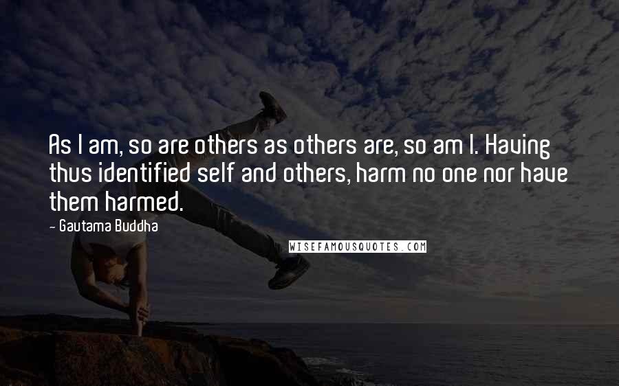 Gautama Buddha Quotes: As I am, so are others as others are, so am I. Having thus identified self and others, harm no one nor have them harmed.