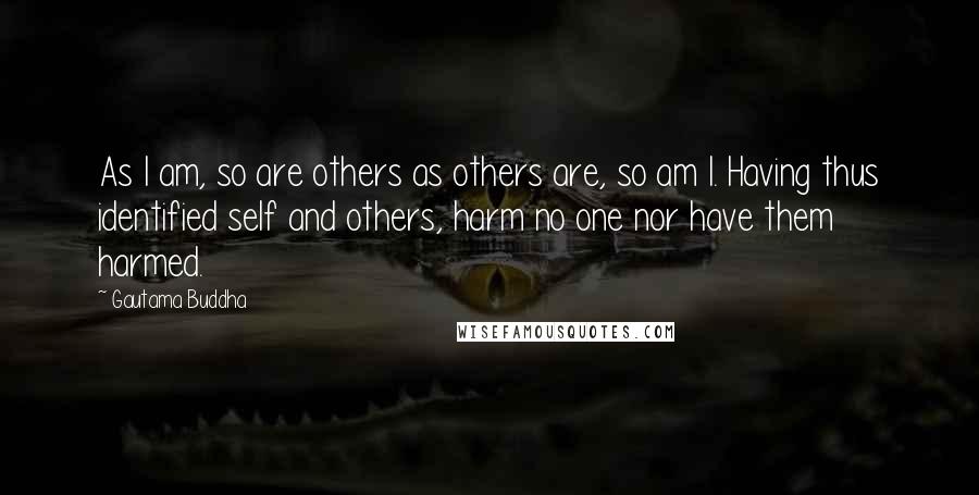 Gautama Buddha Quotes: As I am, so are others as others are, so am I. Having thus identified self and others, harm no one nor have them harmed.