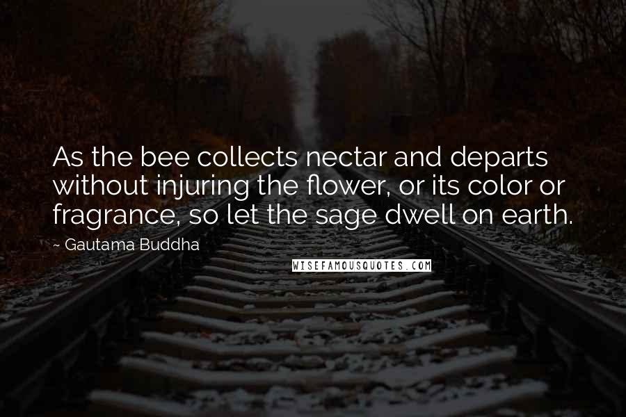 Gautama Buddha Quotes: As the bee collects nectar and departs without injuring the flower, or its color or fragrance, so let the sage dwell on earth.