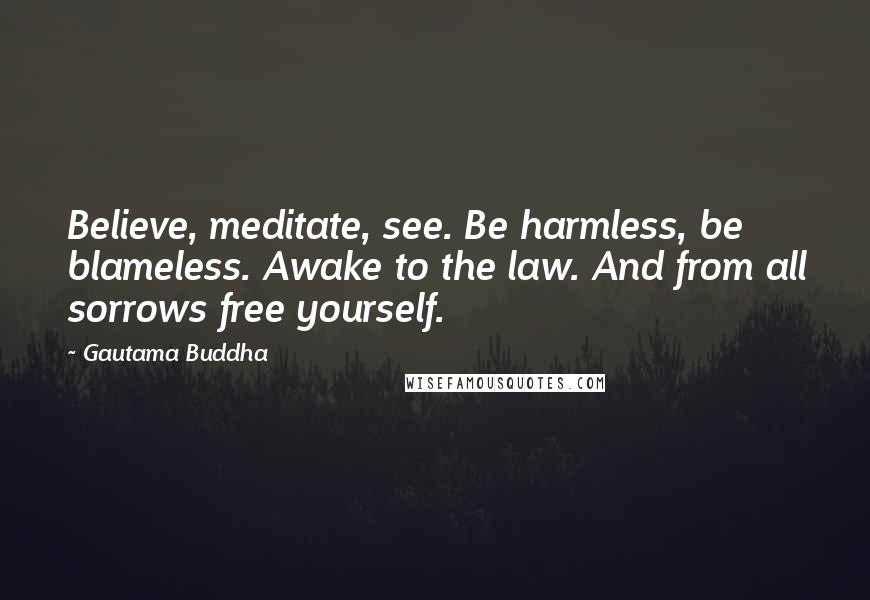 Gautama Buddha Quotes: Believe, meditate, see. Be harmless, be blameless. Awake to the law. And from all sorrows free yourself.