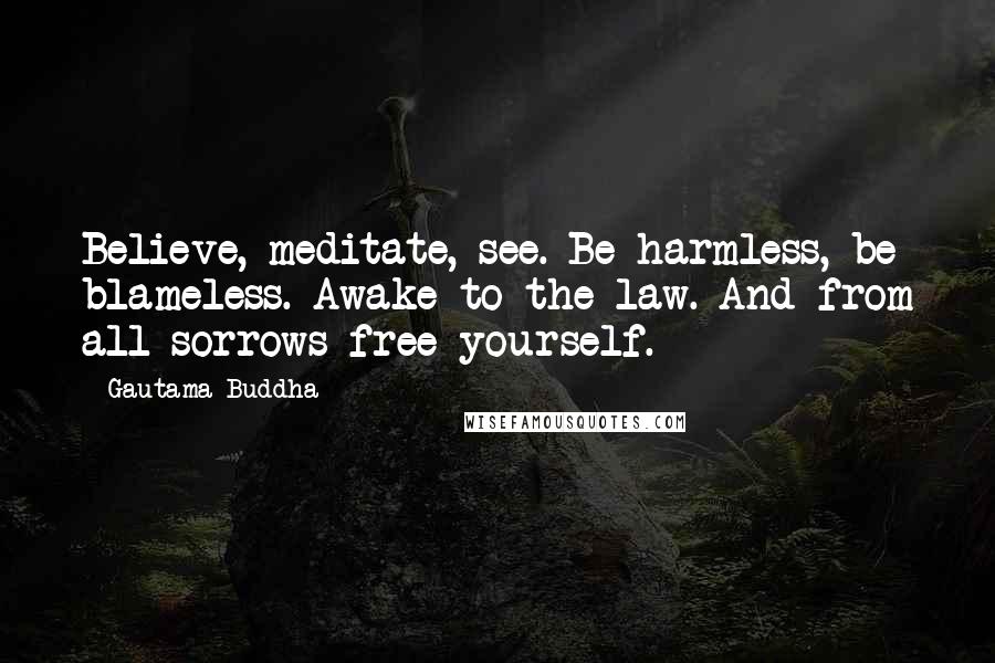 Gautama Buddha Quotes: Believe, meditate, see. Be harmless, be blameless. Awake to the law. And from all sorrows free yourself.
