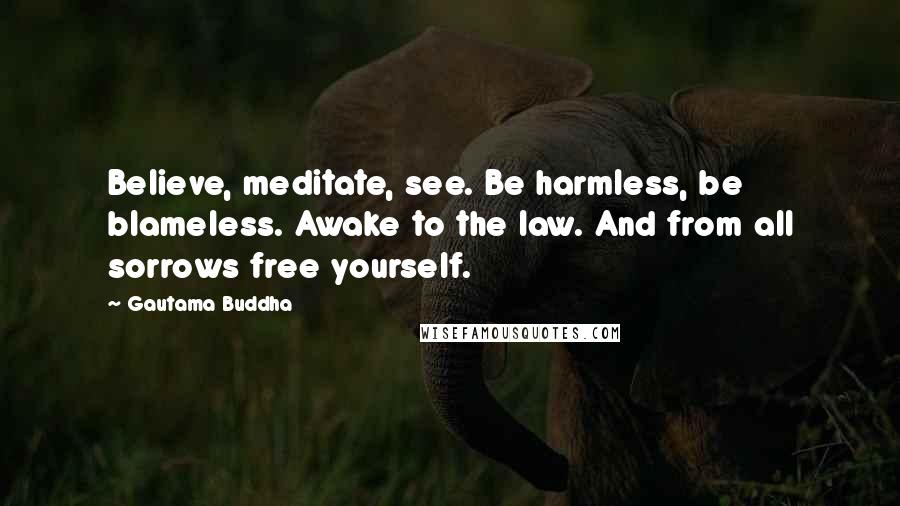 Gautama Buddha Quotes: Believe, meditate, see. Be harmless, be blameless. Awake to the law. And from all sorrows free yourself.