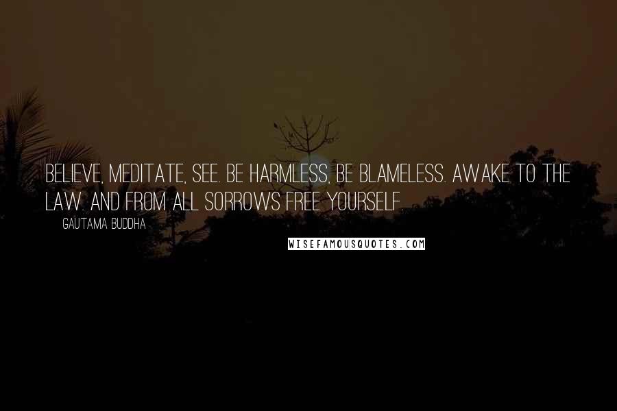 Gautama Buddha Quotes: Believe, meditate, see. Be harmless, be blameless. Awake to the law. And from all sorrows free yourself.