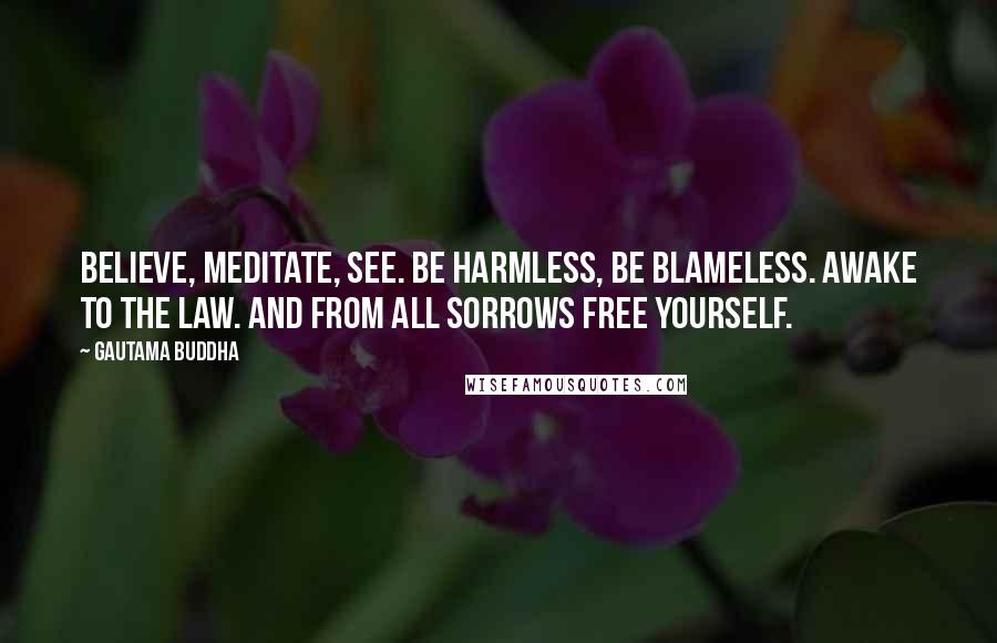 Gautama Buddha Quotes: Believe, meditate, see. Be harmless, be blameless. Awake to the law. And from all sorrows free yourself.