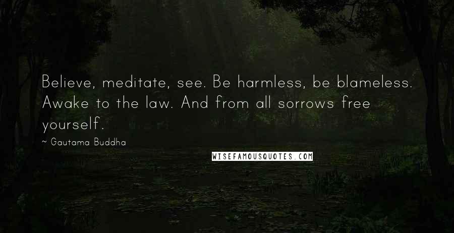 Gautama Buddha Quotes: Believe, meditate, see. Be harmless, be blameless. Awake to the law. And from all sorrows free yourself.