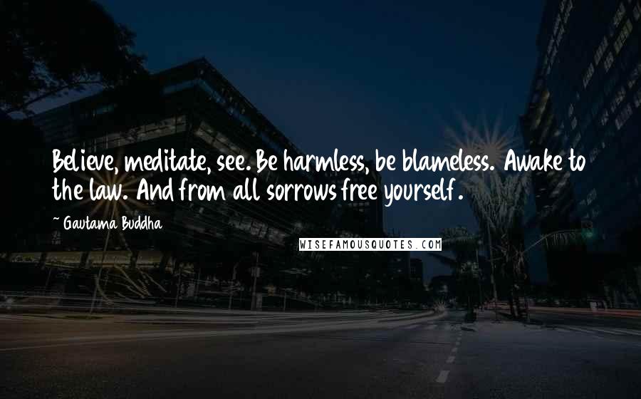 Gautama Buddha Quotes: Believe, meditate, see. Be harmless, be blameless. Awake to the law. And from all sorrows free yourself.