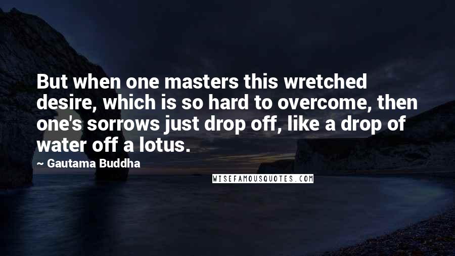 Gautama Buddha Quotes: But when one masters this wretched desire, which is so hard to overcome, then one's sorrows just drop off, like a drop of water off a lotus.