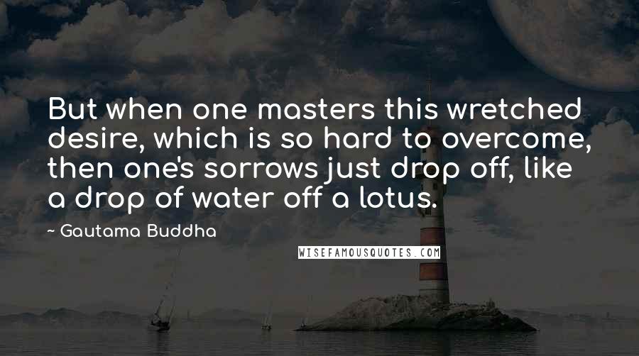 Gautama Buddha Quotes: But when one masters this wretched desire, which is so hard to overcome, then one's sorrows just drop off, like a drop of water off a lotus.