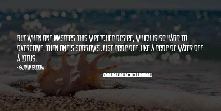 Gautama Buddha Quotes: But when one masters this wretched desire, which is so hard to overcome, then one's sorrows just drop off, like a drop of water off a lotus.