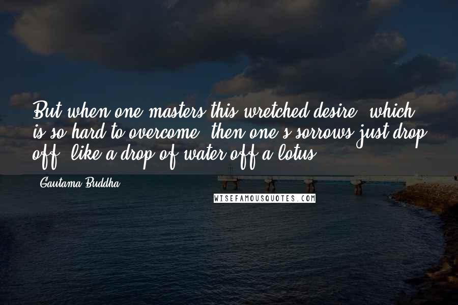 Gautama Buddha Quotes: But when one masters this wretched desire, which is so hard to overcome, then one's sorrows just drop off, like a drop of water off a lotus.