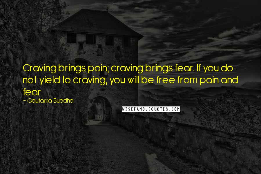 Gautama Buddha Quotes: Craving brings pain; craving brings fear. If you do not yield to craving, you will be free from pain and fear