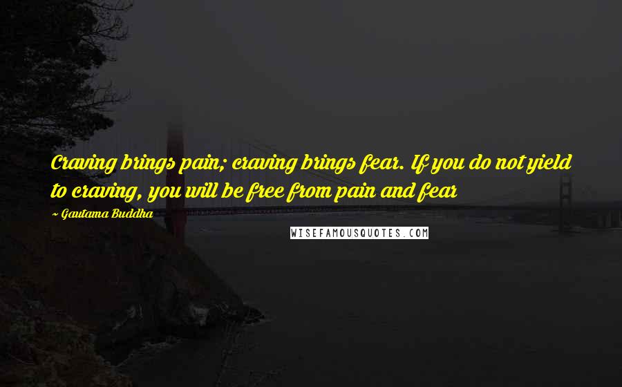 Gautama Buddha Quotes: Craving brings pain; craving brings fear. If you do not yield to craving, you will be free from pain and fear
