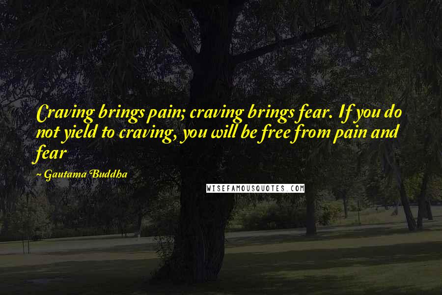 Gautama Buddha Quotes: Craving brings pain; craving brings fear. If you do not yield to craving, you will be free from pain and fear