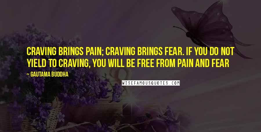 Gautama Buddha Quotes: Craving brings pain; craving brings fear. If you do not yield to craving, you will be free from pain and fear