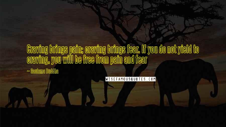 Gautama Buddha Quotes: Craving brings pain; craving brings fear. If you do not yield to craving, you will be free from pain and fear