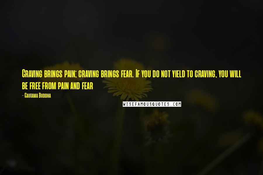 Gautama Buddha Quotes: Craving brings pain; craving brings fear. If you do not yield to craving, you will be free from pain and fear