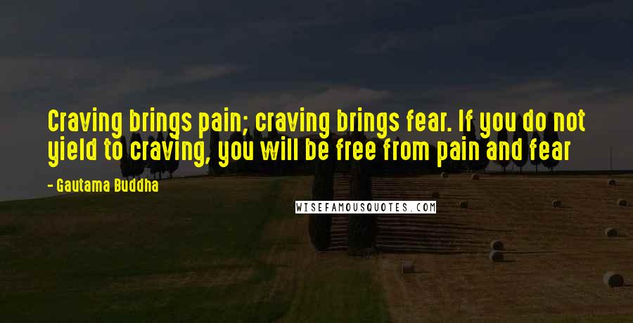 Gautama Buddha Quotes: Craving brings pain; craving brings fear. If you do not yield to craving, you will be free from pain and fear