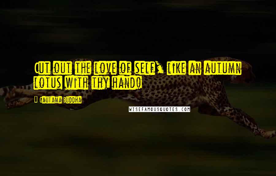 Gautama Buddha Quotes: Cut out the love of self, like an autumn lotus with thy hand!