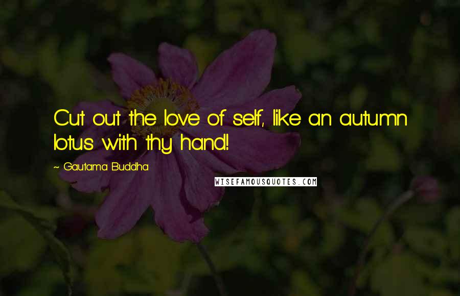 Gautama Buddha Quotes: Cut out the love of self, like an autumn lotus with thy hand!