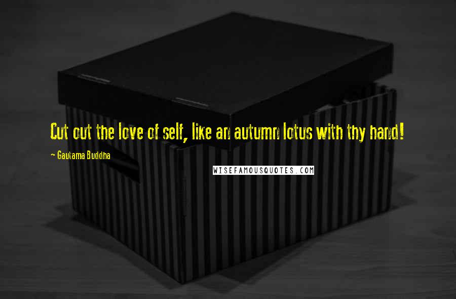 Gautama Buddha Quotes: Cut out the love of self, like an autumn lotus with thy hand!