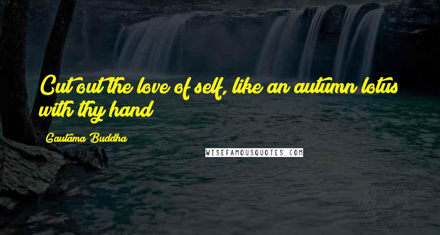 Gautama Buddha Quotes: Cut out the love of self, like an autumn lotus with thy hand!