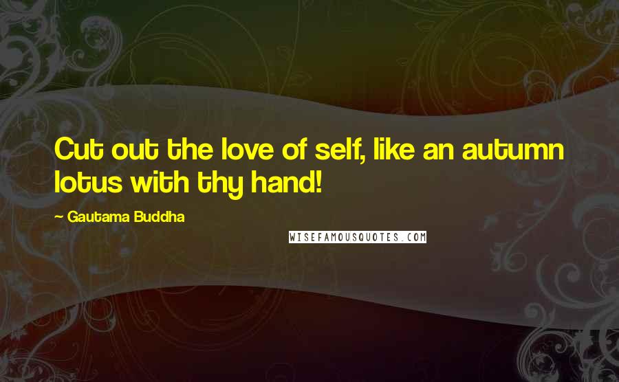 Gautama Buddha Quotes: Cut out the love of self, like an autumn lotus with thy hand!