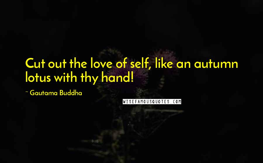 Gautama Buddha Quotes: Cut out the love of self, like an autumn lotus with thy hand!