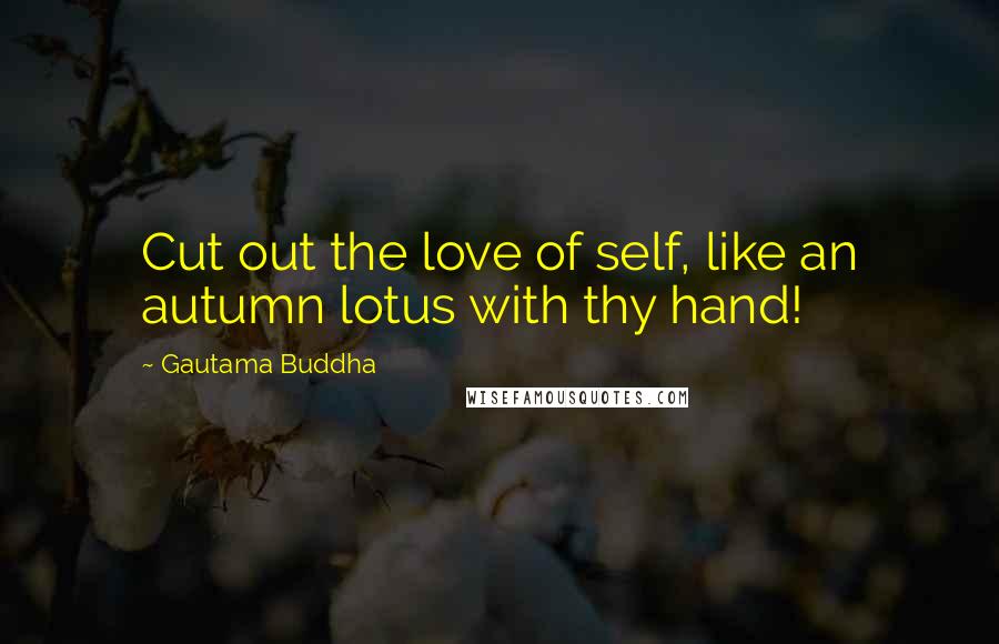 Gautama Buddha Quotes: Cut out the love of self, like an autumn lotus with thy hand!