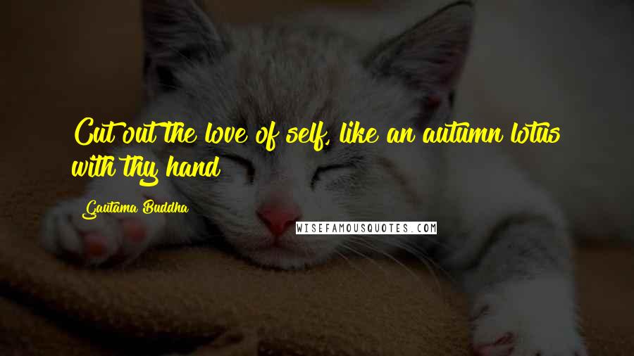 Gautama Buddha Quotes: Cut out the love of self, like an autumn lotus with thy hand!