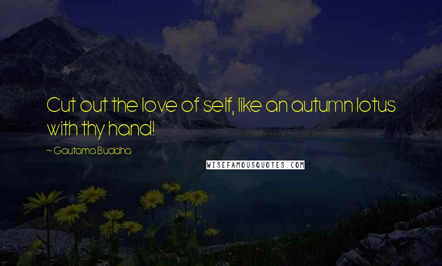 Gautama Buddha Quotes: Cut out the love of self, like an autumn lotus with thy hand!