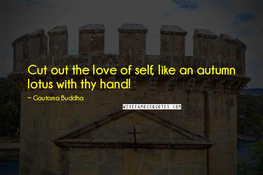 Gautama Buddha Quotes: Cut out the love of self, like an autumn lotus with thy hand!