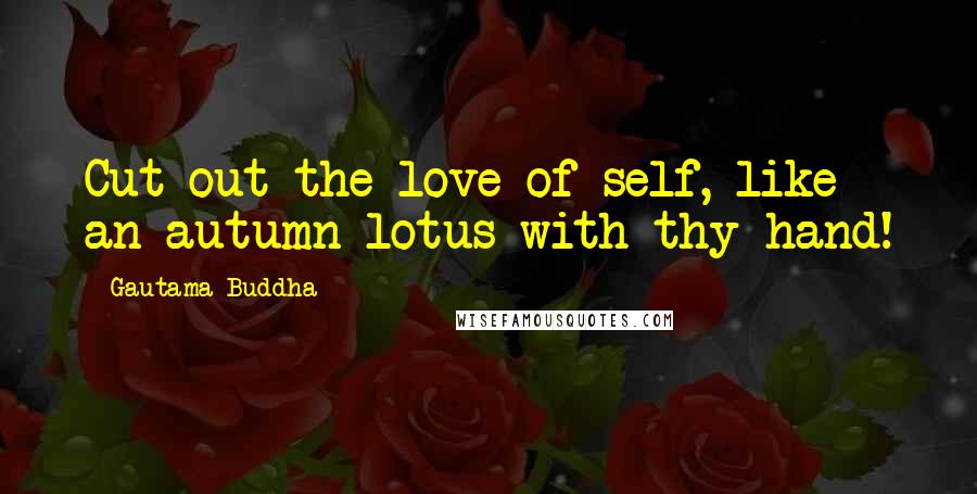 Gautama Buddha Quotes: Cut out the love of self, like an autumn lotus with thy hand!