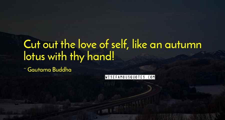 Gautama Buddha Quotes: Cut out the love of self, like an autumn lotus with thy hand!