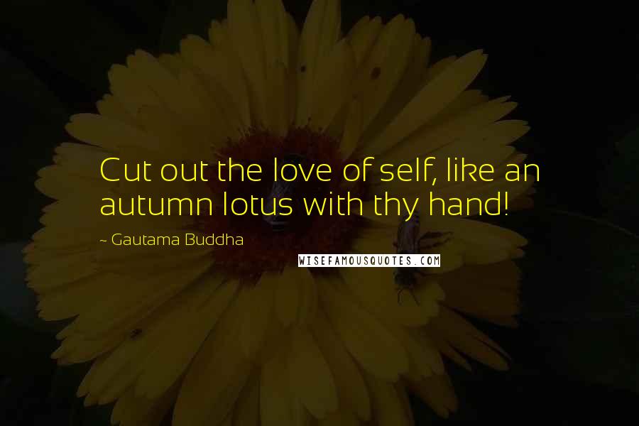 Gautama Buddha Quotes: Cut out the love of self, like an autumn lotus with thy hand!