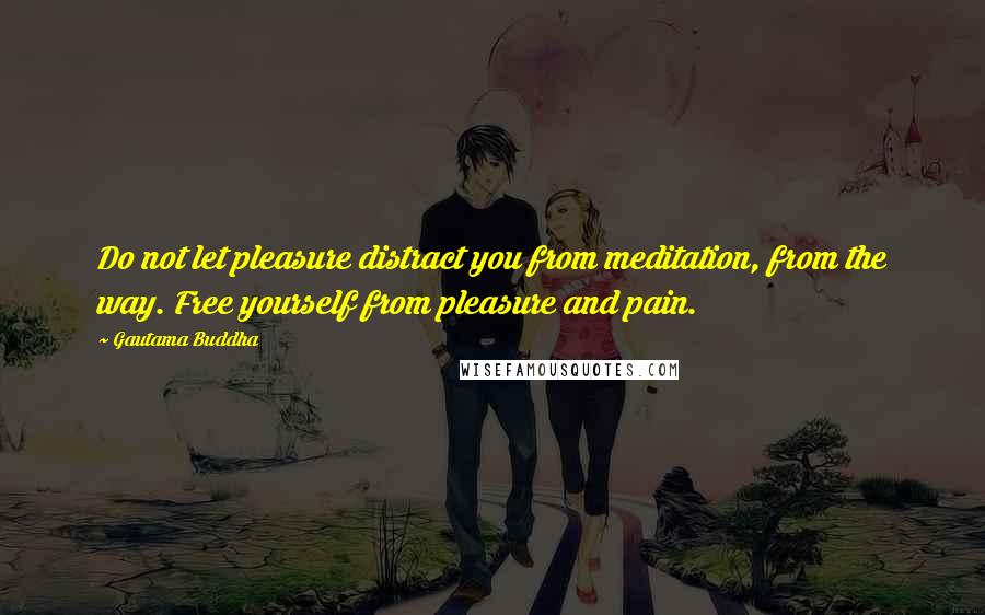 Gautama Buddha Quotes: Do not let pleasure distract you from meditation, from the way. Free yourself from pleasure and pain.