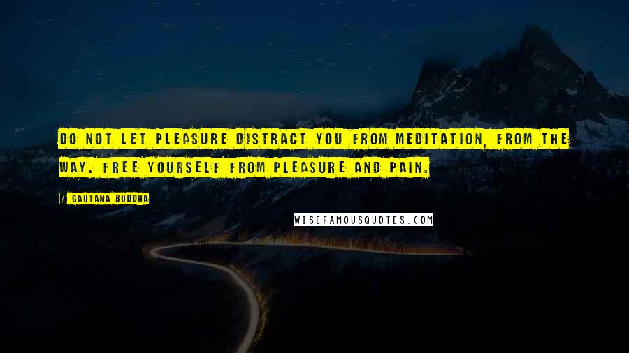 Gautama Buddha Quotes: Do not let pleasure distract you from meditation, from the way. Free yourself from pleasure and pain.