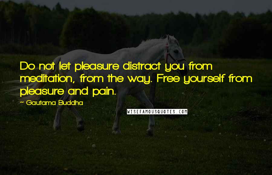 Gautama Buddha Quotes: Do not let pleasure distract you from meditation, from the way. Free yourself from pleasure and pain.
