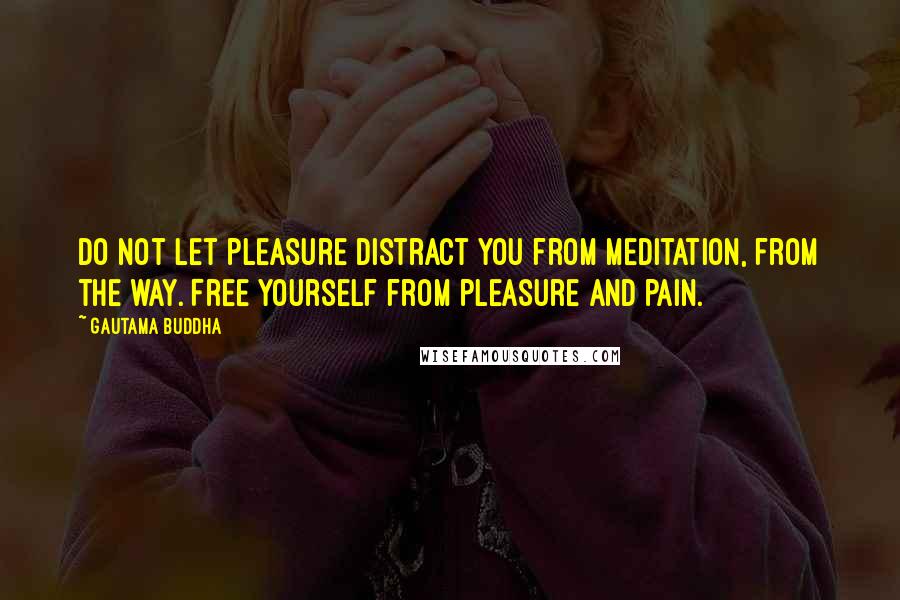 Gautama Buddha Quotes: Do not let pleasure distract you from meditation, from the way. Free yourself from pleasure and pain.