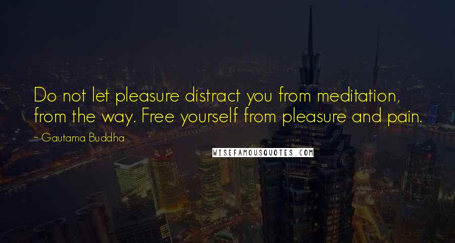 Gautama Buddha Quotes: Do not let pleasure distract you from meditation, from the way. Free yourself from pleasure and pain.