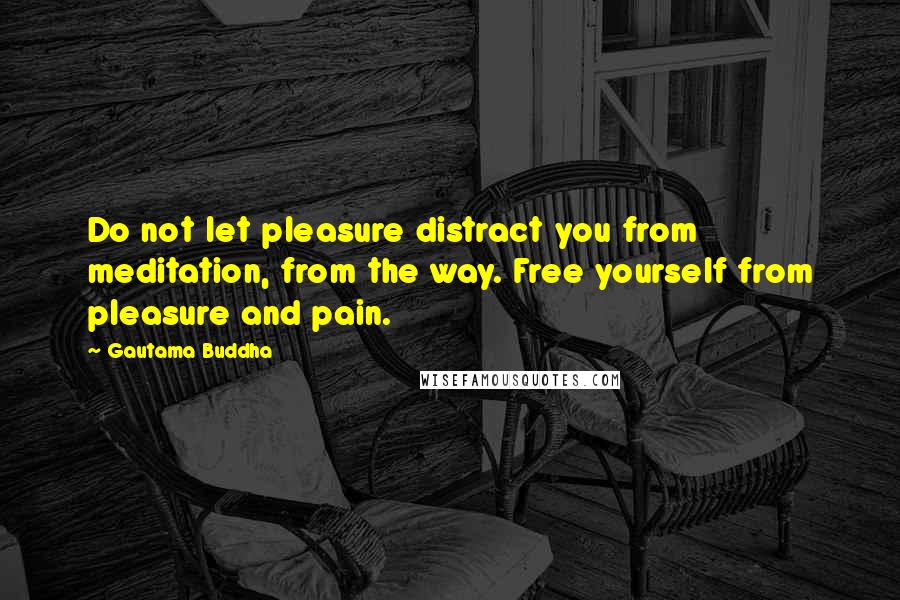 Gautama Buddha Quotes: Do not let pleasure distract you from meditation, from the way. Free yourself from pleasure and pain.