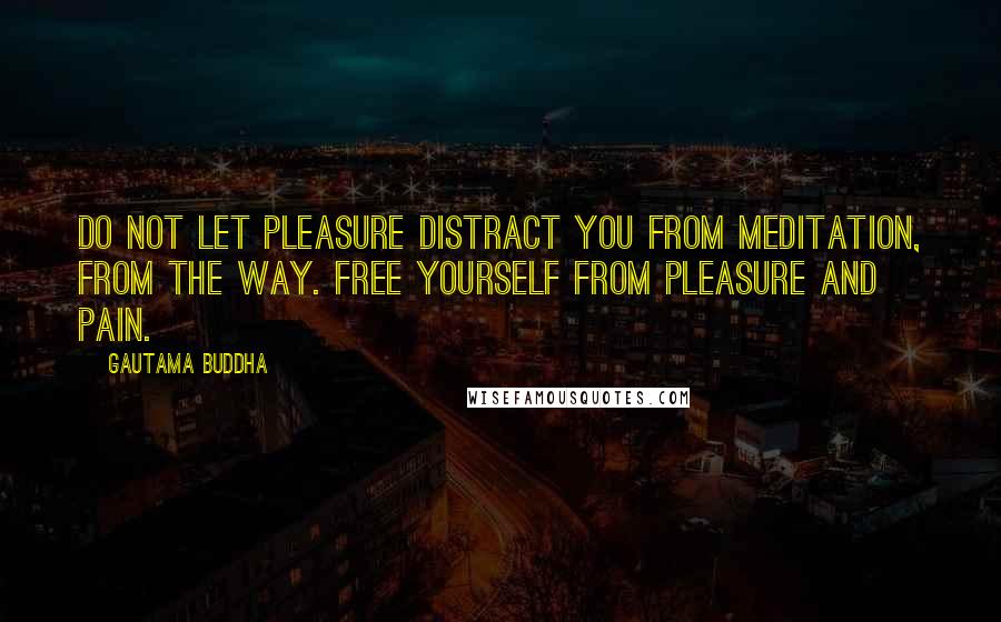 Gautama Buddha Quotes: Do not let pleasure distract you from meditation, from the way. Free yourself from pleasure and pain.
