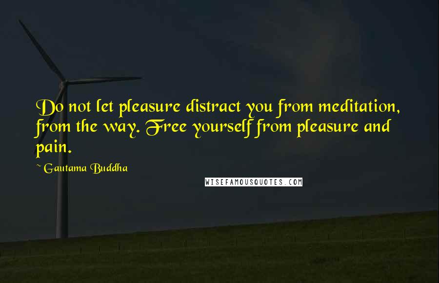 Gautama Buddha Quotes: Do not let pleasure distract you from meditation, from the way. Free yourself from pleasure and pain.