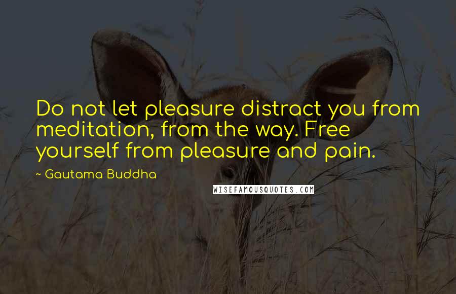 Gautama Buddha Quotes: Do not let pleasure distract you from meditation, from the way. Free yourself from pleasure and pain.