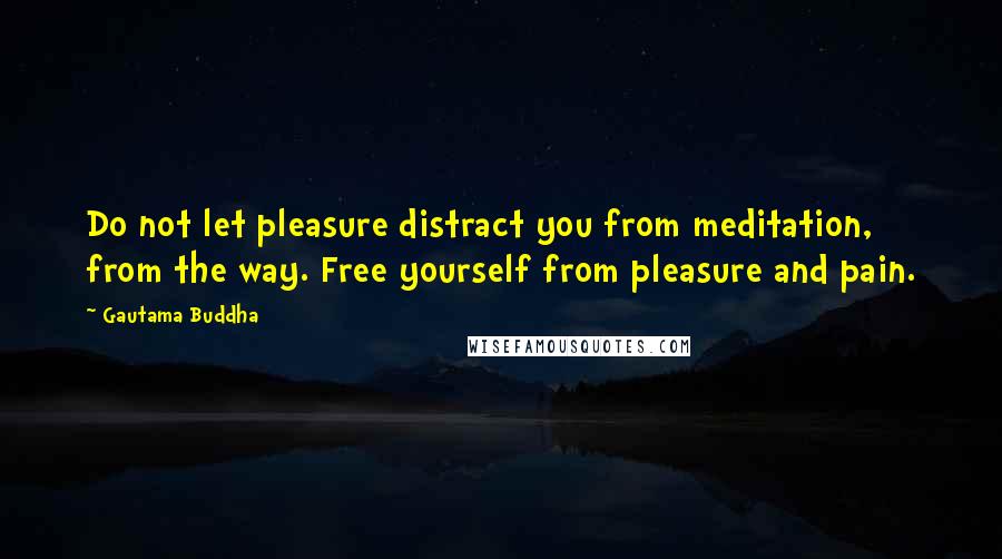 Gautama Buddha Quotes: Do not let pleasure distract you from meditation, from the way. Free yourself from pleasure and pain.